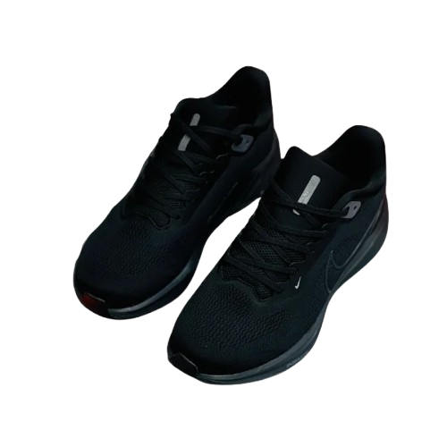 NIKE PEGASUS | BLACK COLOUR | TS-SHO683